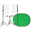 vidaXL Kit de studio photo avec éclairage et écran de fond