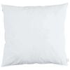 vidaXL Oreiller avec oreiller 2 pcs Blanc 50 x 50 cm Plume