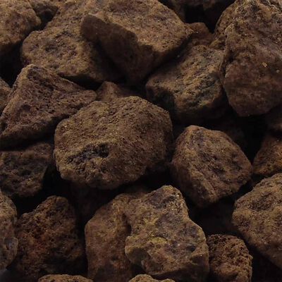 Ubbink Matériau filtrant naturel d'étang Lava pierre volcanique 10L