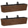 vidaXL Pots de fleurs 2 pcs jacinthe d'eau marron