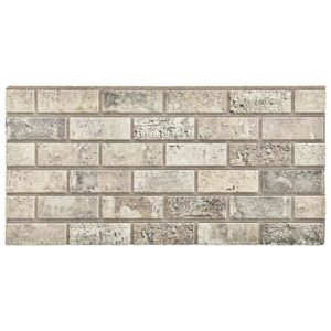 vidaXL Panneaux muraux 10 pcs Sable 100 x 50 cm Mousse EPS