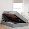 vidaXL Lit avec rangement et LED Gris clair 120 x 190 cm tissu