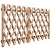 vidaXL Portillons de jardin 2 pcs Bois de pin impr&eacute;gn&eacute; 300x100 cm