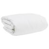 vidaXL Ensemble de Duvet avec oreiller 3 pcs Blanc Plume de canard