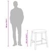 vidaXL Chaises de bar avec coussins 2 pcs blanc bois massif d'hévéa