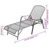 vidaXL Chaise longue acier anthracite
