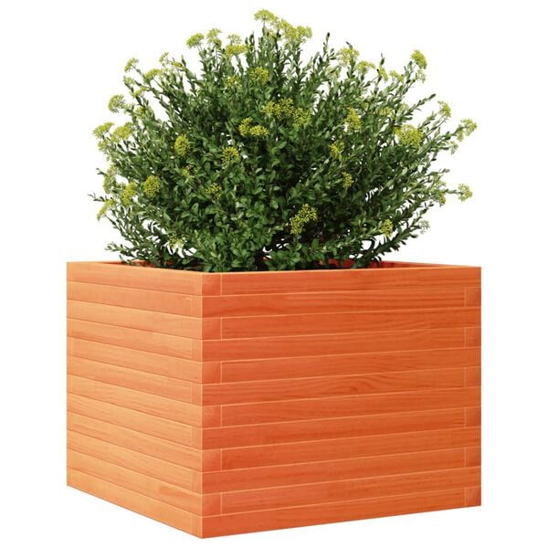 vidaXL Jardini&egrave;re cire marron 60x60x45,5 cm bois de pin massif