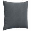 vidaXL Coussins de canap&eacute; 2 pcs Gris fonc&eacute; 60 x 60 cm