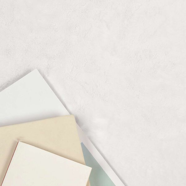 vidaXL Tapis en Fourrure Synth&eacute;tique de Lapin Olite Blanc 120 x 170 cm