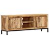 vidaXL Meuble TV 118 x 30 x 45 cm Bois de manguier massif