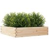 vidaXL Jardini&egrave;re 100x100x23 cm bois de pin massif