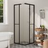 vidaXL Cabine de douche ESG 70x70x180 cm
