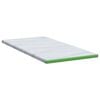 vidaXL Surmatelas Blanc et vert 90 x 190 cm Tissu Jacquard