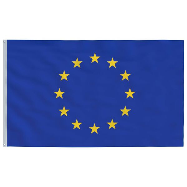 vidaXL Drapeau de l'Europe et mât 5,55 m Aluminium