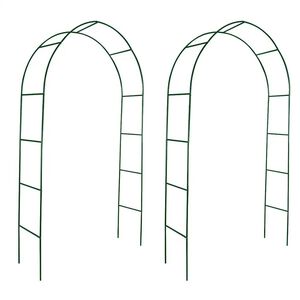 vidaXL Arche de jardin 2 pcs pour plantes grimpantes