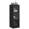 vidaXL Buffet avec portes en verre noir 35x37x109 cm