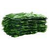 vidaXL Écran de balcon avec feuilles vert 200x75 cm