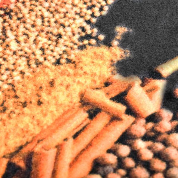 vidaXL Tapis de sol de cuisine lavable &Eacute;pice 60x180 cm