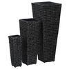 vidaXL Lits sur&eacute;lev&eacute;s 3 pcs Jacinthe d'eau Noir