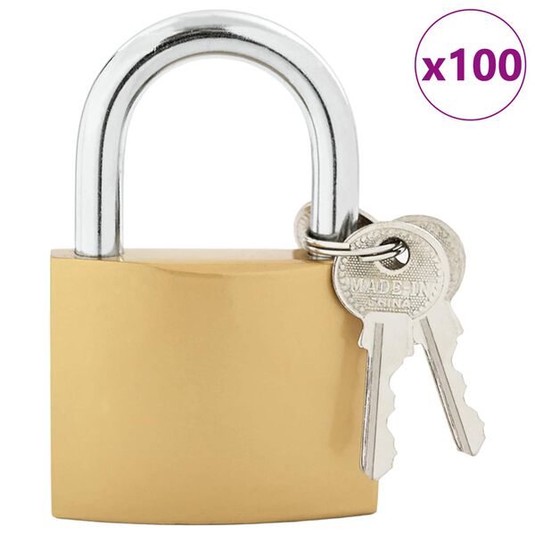 vidaXL U Lock avec Cl&eacute;s 100 pcs Laiton Fer