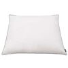 vidaXL Oreiller lot de 2 Remplissage de duvet léger 80 x 80 cm Blanc