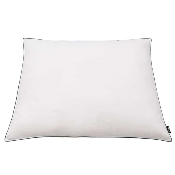 vidaXL Oreiller lot de 2 Remplissage de duvet léger 80 x 80 cm Blanc