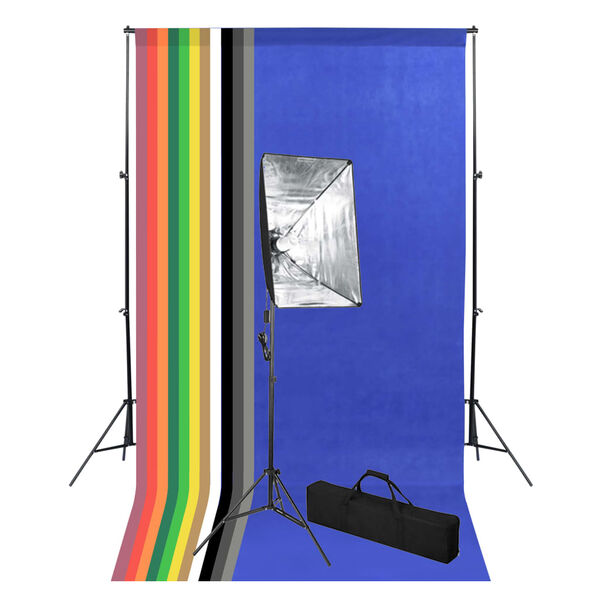 vidaXL Kit de studio photo avec toile de fond et bo&icirc;te &agrave; lumi&egrave;re