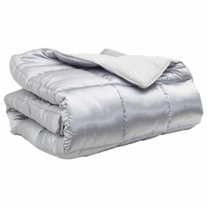 vidaXL Duvet d'hiver Argent&eacute; 240 x 200 cm Satin et Microfibre