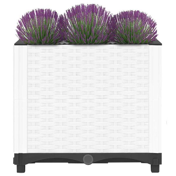 Affichage de l&rsquo;image produit 3 sur 8