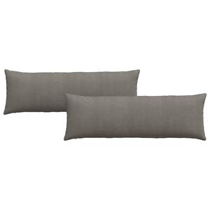 vidaXL Coussins de canap&eacute; 2 pcs Gris clair 120 x 40 cm