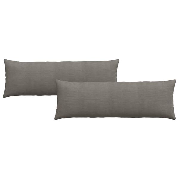 vidaXL Coussins de canapé 2 pcs Gris clair 120 x 40 cm