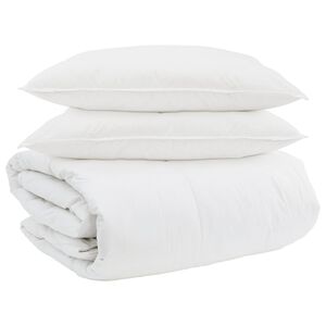 vidaXL Ensemble de Duvet avec oreiller 3 pc Blanc Plume de canard