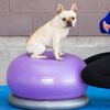 FitPAWS Balle d'&eacute;quilibre pour animaux de compagnie TRAX Donut 55 cm