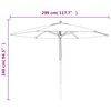 vidaXL Parasol de jardin avec m&acirc;t en bois sable 299x240 cm