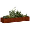 vidaXL Jardini&egrave;re rouill&eacute; 280x80x40 cm acier inoxydable