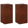 vidaXL Support de Plante 2 pcs Rouill&eacute; 30 x 30 x 60 cm Acier patin&eacute;