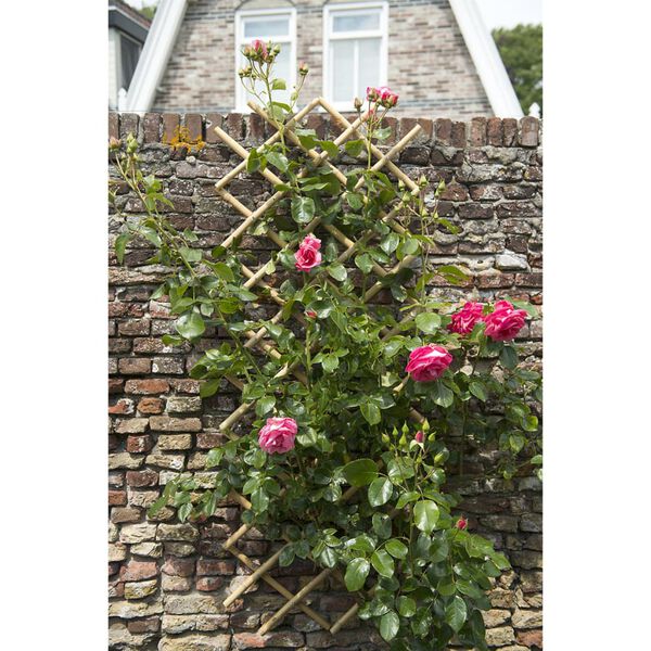 Nature Palissade de jardin 45 x 180 cm Bambou