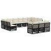 vidaXL Ensemble de canap&eacute; de jardin 13 pcs Noir polyrotin