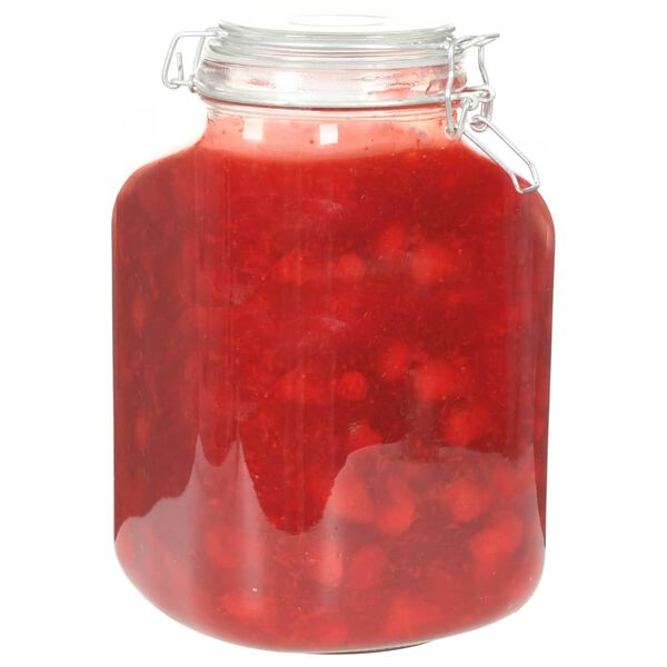 vidaXL Pots &agrave; confiture en verre avec serrure 6 pcs 5 L