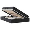 vidaXL Lit avec rangement et matelas avec stockage 2 pc Noir Cuir