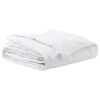 vidaXL Couette 200 x 220 cm Printemps, Automne Plume Blanc Respirant