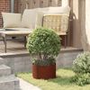vidaXL Anneau de jardini&egrave;re Marron 30 x 30 x 20 cm Acier patin&eacute;