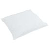 vidaXL Oreiller avec oreiller 2 pcs Blanc 50 x 50 cm Plume