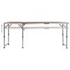 vidaXL Table pliable de camping Aluminium 180x60 cm