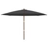 vidaXL Parasol de jardin avec m&acirc;t en bois noir 400x273 cm