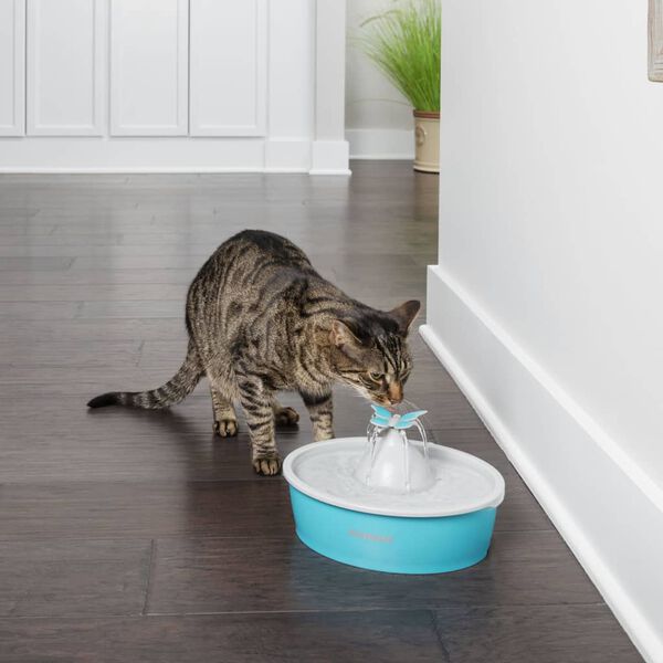 PetSafe Fontaine pour animaux de compagnie Drinkwell Papillon 1,5 L