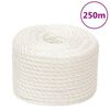 vidaXL Corde de travail Blanc 12 mm 250 m polypropyl&egrave;ne