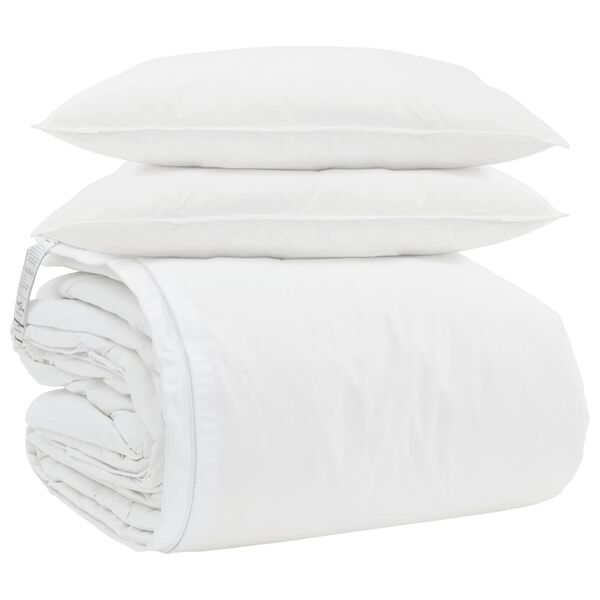 vidaXL Ensemble de Duvet avec oreiller 3 pcs Blanc Plume de canard