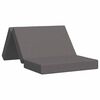 vidaXL Canap&eacute;-lit pliable 80 x 67 x 45 cm Gris clair