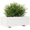 vidaXL Jardini&egrave;re blanc 70x40x26,5 cm bois de pin massif